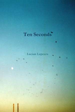 Ten Seconds de Lucian Lupescu