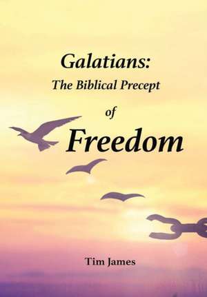 Galatians de Tim James