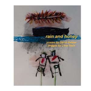 Rain and Honey de Livia Stein