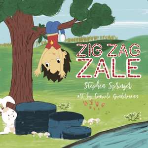 Zig Zag Zale de Stephen Springer