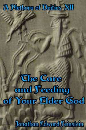 The Care and Feeding of Your Elder God de Jonathan Edward Feinstein