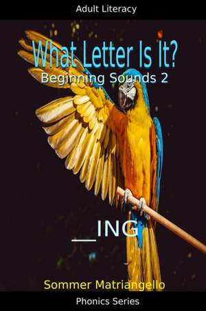 What Letter Is It? Beginning Sounds 2 de Sommer Matriangello