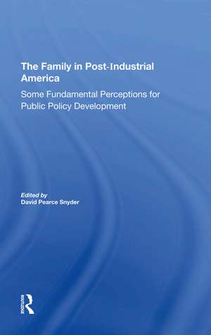 The Family In Postindustrial America: Some Fundamental Perceptions For Public Policy Development de David P. Snyder