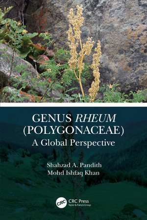 Genus Rheum (Polygonaceae): A Global Perspective de Shahzad A. Pandith