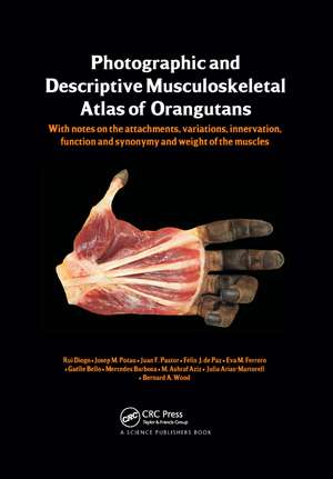 Photographic and Descriptive Musculoskeletal Atlas of Orangutans: with notes on the attachments, variations, innervations, function and synonymy and weight of the muscles de Rui Diogo