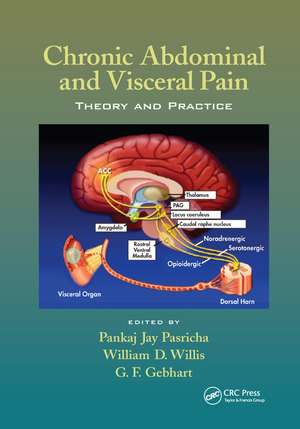 Chronic Abdominal and Visceral Pain: Theory and Practice de Pankaj Jay Pasricha