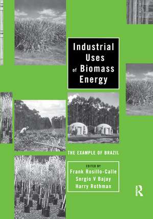 Industrial Uses of Biomass Energy: The Example of Brazil de Frank Rosillo-Calle