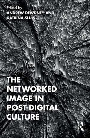 The Networked Image in Post-Digital Culture de Andrew Dewdney