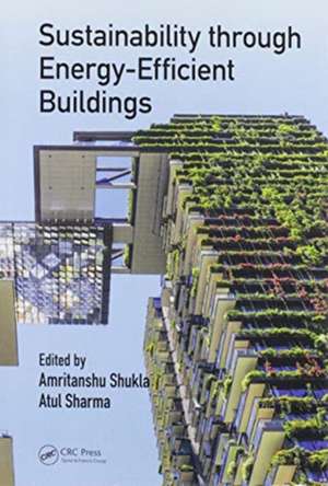 Sustainability through Energy-Efficient Buildings de Amritanshu Shukla