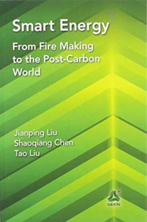 Smart Energy: From Fire Making to the Post-Carbon World de Jianping Liu