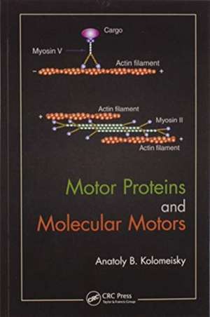 Motor Proteins and Molecular Motors de Anatoly B. Kolomeisky