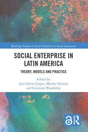 Social Enterprise in Latin America: Theory, Models and Practice de Luiz Inácio Gaiger