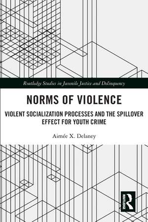 Norms of Violence: Violent Socialization Processes and the Spillover Effect for Youth Crime de Aimée X. Delaney