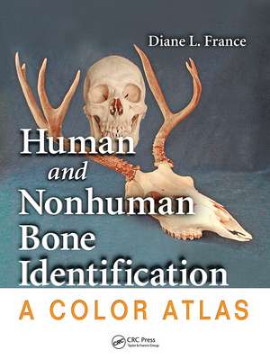 Human and Nonhuman Bone Identification de Diane L. France