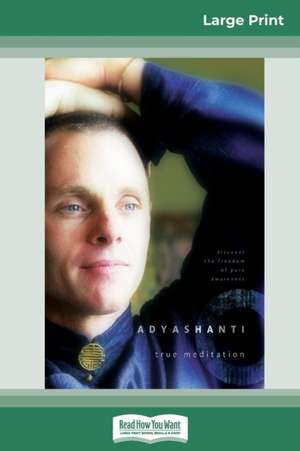 True Meditation de Adyashanti