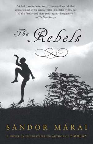 The Rebels de Sandor Marai