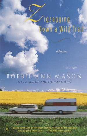 Zigzagging Down a Wild Trail: Stories de Bobbie Ann Mason