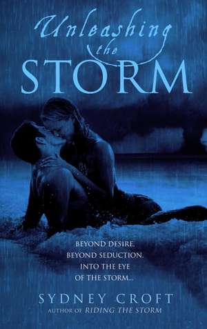 Unleashing the Storm de Sydney Croft