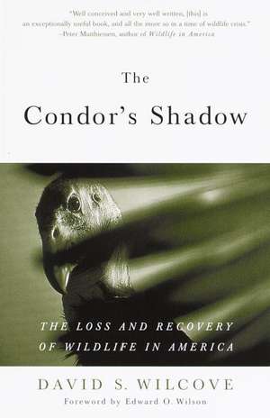 The Condor's Shadow: The Loss and Recovery of Wildlife in America de David S. Wilcove