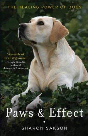 Paws & Effect: The Healing Power of Dogs de Sharon R. Sakson