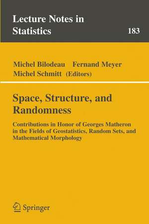 Space, Structure and Randomness: Contributions in Honor of Georges Matheron in the Fields of Geostatistics, Random Sets and Mathematical Morphology de Michel Bilodeau