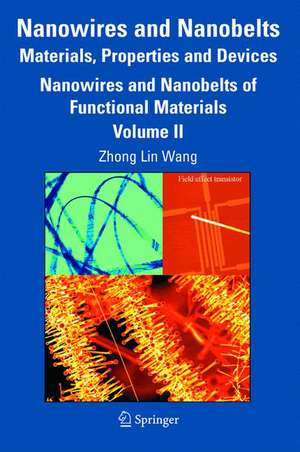 Nanowires and Nanobelts: Materials, Properties and Devices: Volume 2: Nanowires and Nanobelts of Functional Materials de Zhong Lin Wang