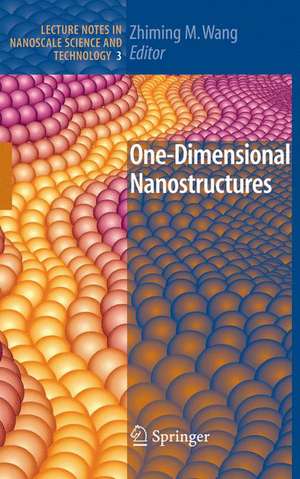 One-Dimensional Nanostructures de Zhiming M Wang