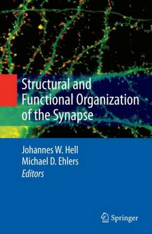 Structural and Functional Organization of the Synapse de Johannes W. Hell