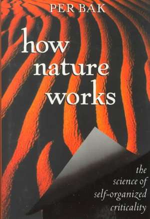 How Nature Works: the science of self-organized criticality de Per Bak