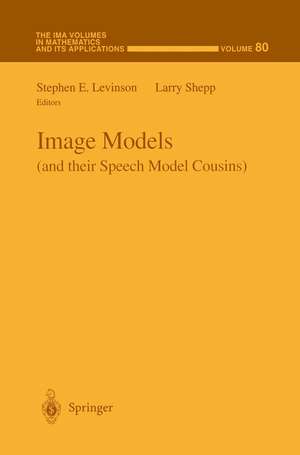 Image Models (and their Speech Model Cousins) de Stephen Levinson