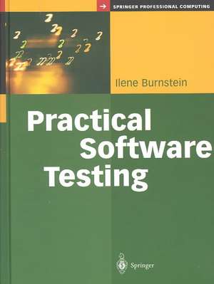 Practical Software Testing: A Process-Oriented Approach de Ilene Burnstein