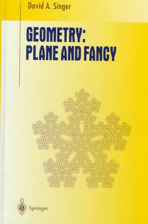 Geometry: Plane and Fancy de David A. Singer