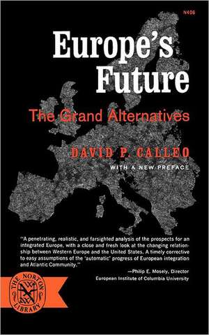 Europe`s Future – The Grand Alternatives de David P. Calleo