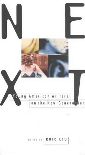 Next – Young American Writers on the New Generation (Paper) de Elizabeth Liu