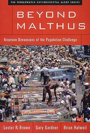 Beyond Malthus – Nineteen Dimensions of the Population Challenge de Lester R. Brown