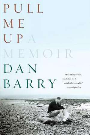 Pull Me Up de Dan Barry