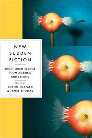 New Sudden Fiction – Short–Short Stories from America and Beyond de Robert Shapard