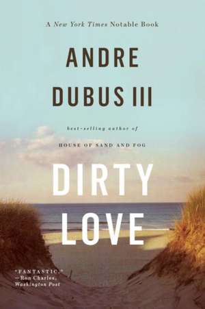 Dirty Love de Andre Dubus