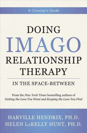 Doing Imago Relationship Therapy in the Space–Be – A Clinician`s Guide de Harville Hendrix