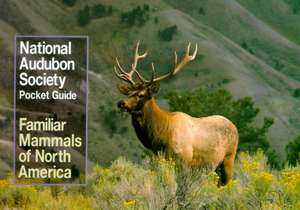 National Audubon Society Pocket Guide to Familiar Mammals de Audubon Society