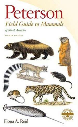 Peterson Field Guide To Mammals Of North America: Fourth Edition de Fiona Reid