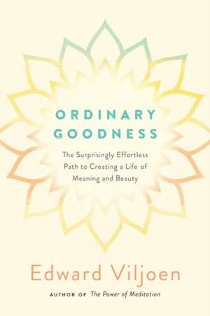 Ordinary Goodness de Edward Viljoen