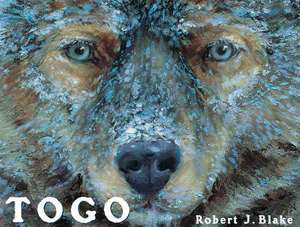 Togo de Robert J. Blake