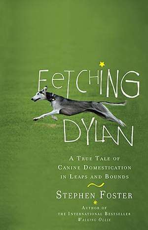 Fetching Dylan: A True Tale of Canine Domestication in Leaps and Bounds de Stephen Foster