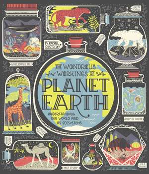 The Wondrous Workings of Planet Earth de Rachel Ignotofsky