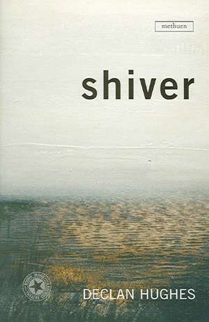 Shiver de Declan Hughes