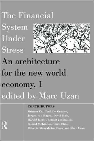 The Financial System Under Stress: An Architecture for the New World Economy de Marc Uzan