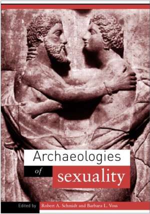 Archaeologies of Sexuality de Robert A. Schmidt