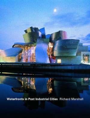 Waterfronts in Post-Industrial Cities de Richard Marshall