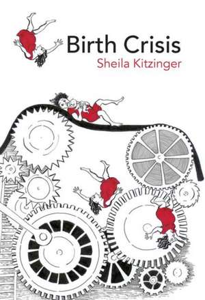 Birth Crisis de Sheila Kitzinger